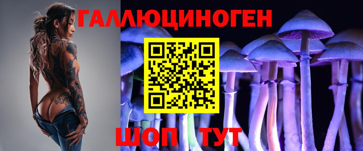 Ипатово  Псилоцибиновые грибы Psilocybine cubensis  Вход с VPN 