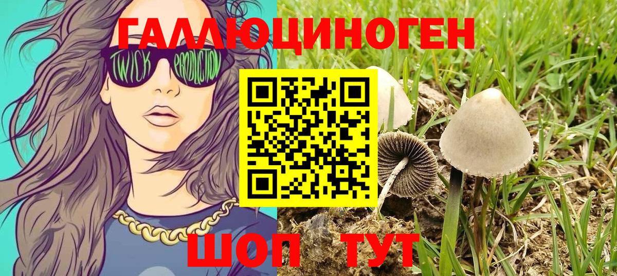Псилоцибиновые грибы прущие грибы Ипатово